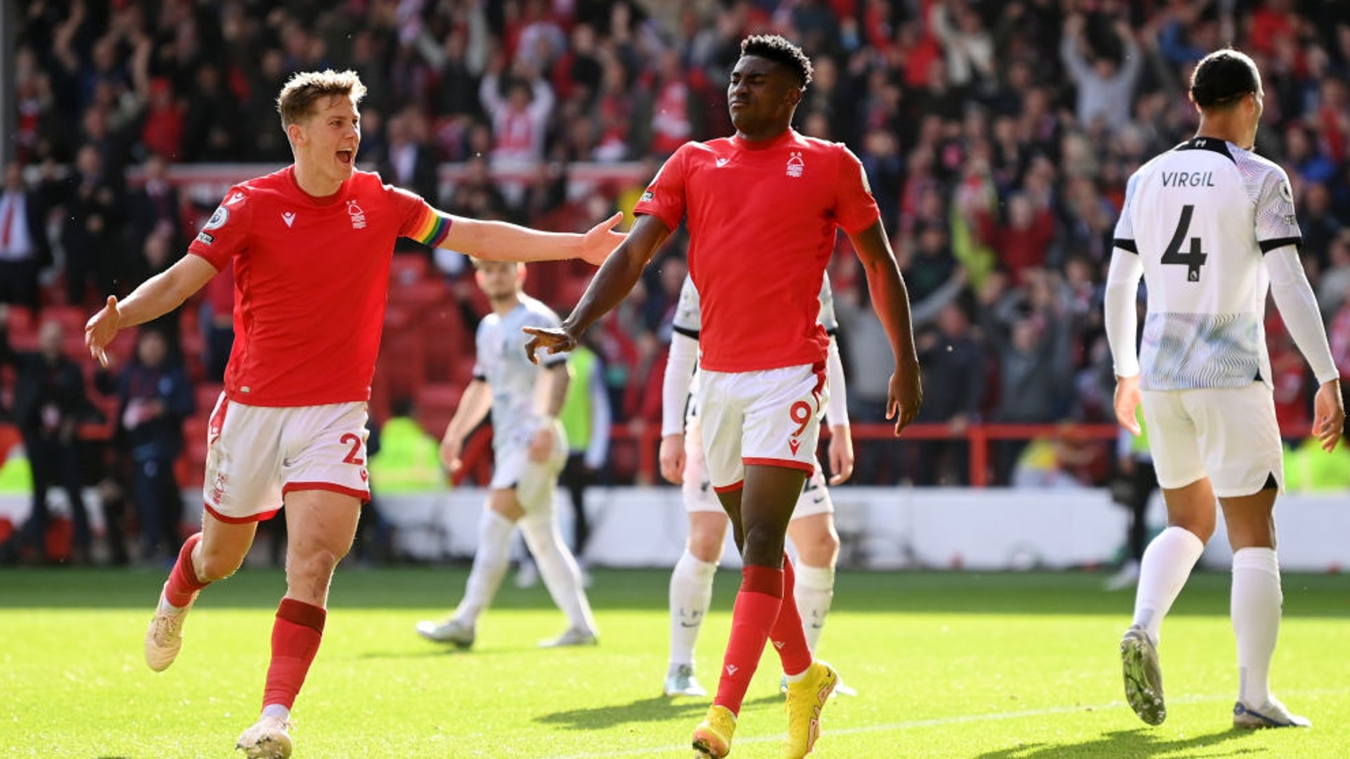 这可能包括 这可能包括